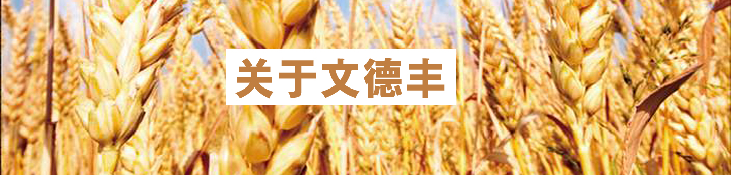 关于文德丰